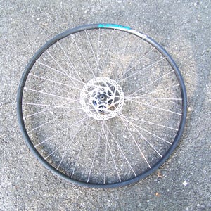 May include: A black bicycle wheel featuring a metal rim with the text ALEXRIMS printed in blue and white. The wheel includes a central silver disc brake rotor with a complex cut-out pattern, connected to the hub by numerous thin silver metal spokes.