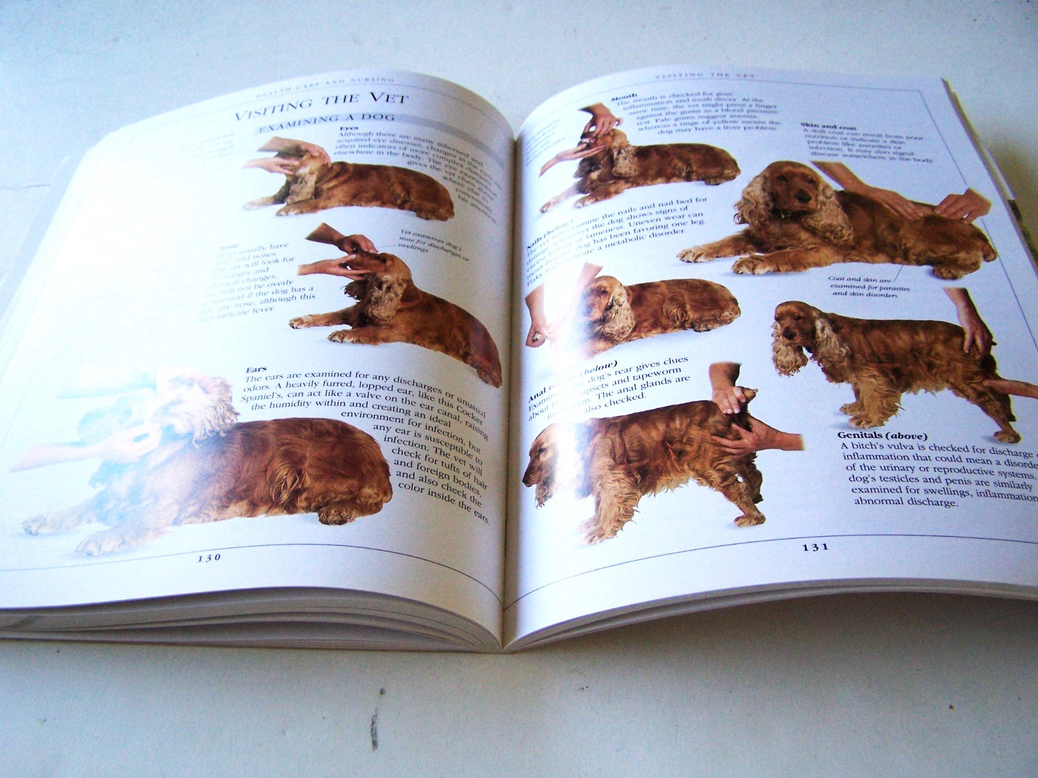 RSPCA Complete Dog Training Manual By Dr. Bruce Fogle – Very Good Condition - View #3