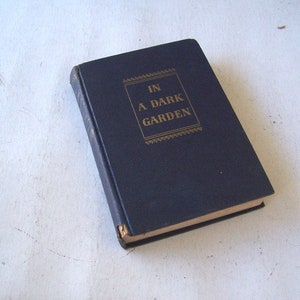 In A Dark Garden by Frank G. Slaughter, Literary Fiction, Historical Romance Novel