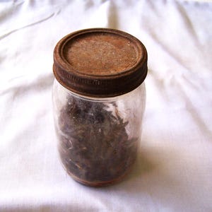 Può includere: Un barattolo in vetro trasparente con corpo cilindrico e collo filettato, sormontato da un coperchio metallico circolare che presenta una significativa ossidazione e ruggine marrone. L'interno del barattolo contiene materia organica secca.