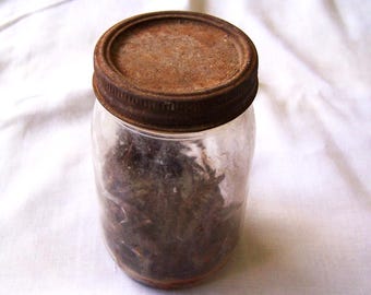 Rusty Staple Nails in a Jar, Rusted Metal, American Seller, Old Rustic Nails, Usable Nails, Rustic Hardware, Rusted Nails, Rusted Staples