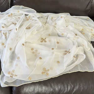 White Embroidered Chiffon Dupatta with Sequinned