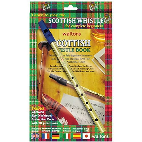 The wild rover tin whistle deals