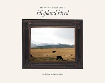 Highland Cow Photography Print: Scottish Highlands Art (Digital Download)
