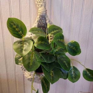 May include: A white crocheted hanging planter with a green leafy plant inside. The planter is hanging from a white wall.