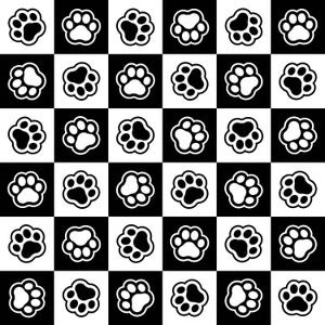 Paw Prints digitaal printbestand in SVG PDF EPS jpg