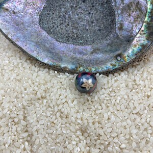 May include: A white abalone shell with a red, white, and blue marble with a star design resting on a bed of white rice.