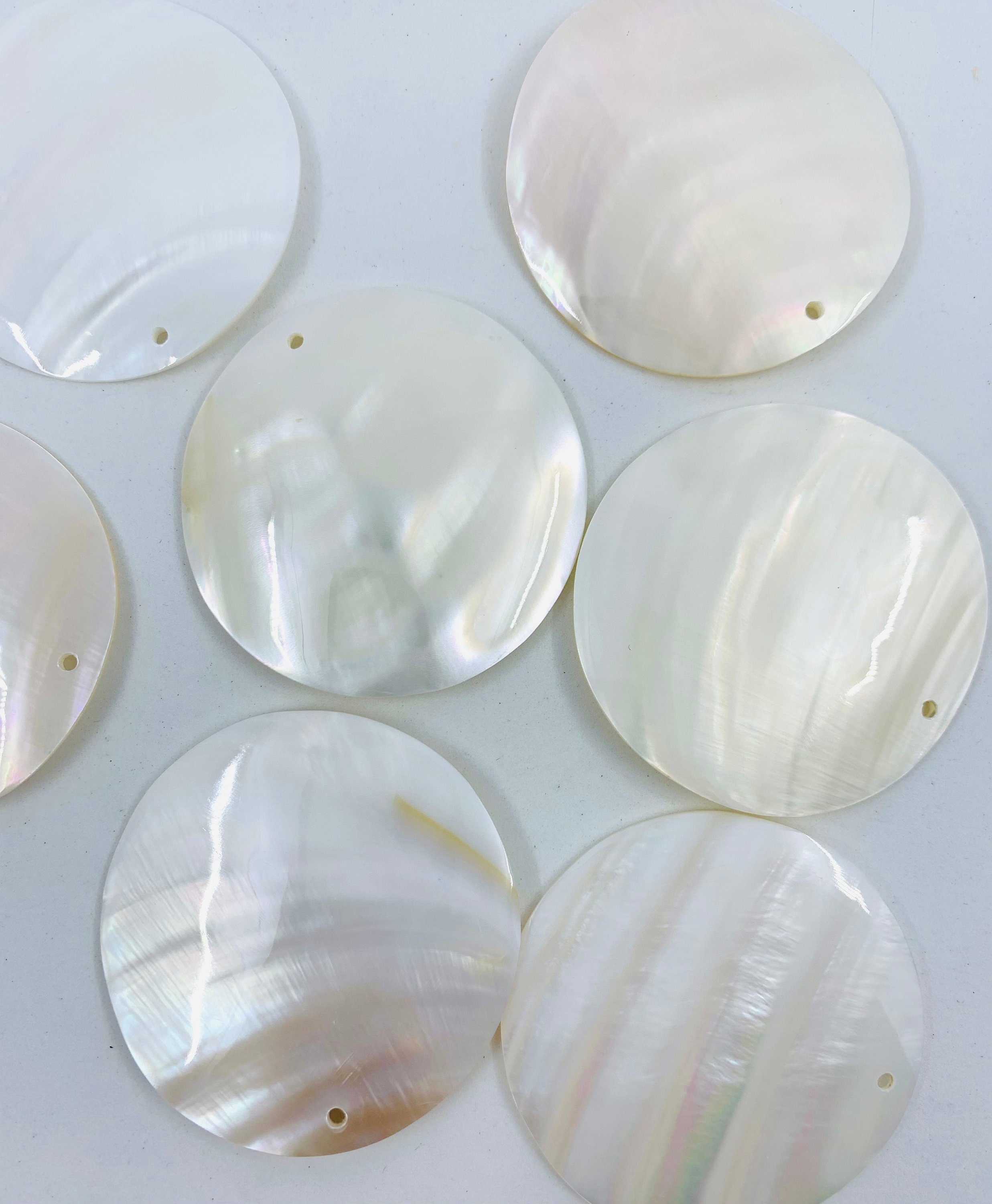Natural Cut Mother of Pearl White Sea Shell 50mm Round Etsy