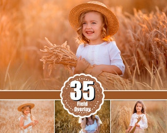 35 goldene Feld-Foto-Overlays, Sommer- und Frühlingsblumen-Overlays, digitale Kulisse, Hintergrund, Kunstrahmen, Weizen, Maisfeld, PNG