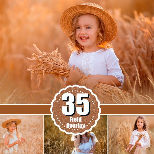 35 Golden Fields Field Photo Overlays, flower summer spring overlays, digital backdrop, background, art frame, wheat, Cornfield, png