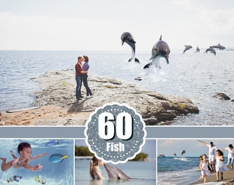 60 sea fish animals Photo Overlays, clip art, clipart, scrapbooking, photo overlay, photoshop overlays, dolphin, jellyfish, octopus