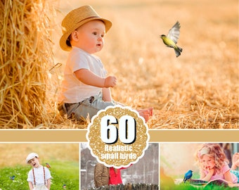 60 Small birds overlay, bird animals clip art clipart, outdoors photography, garden, spring summer baby photo, PS & PSE, png
