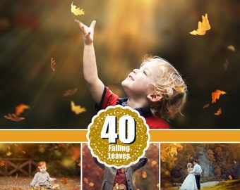 40 Autumn leaves Photo Overlays, falling autumn tree leaves effect, Photoshop Overlays, Autumn backdrop png file