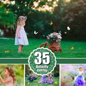 35 Butterfly Overlays, Photo Overlay, Realistic Natural flying butterflies, Spring Summer Overlay, Butterfly ClipArt, flying Butterfly, png
