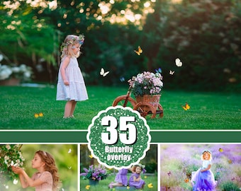 35 Butterfly Overlays, Photo Overlay, Realistic Natural flying butterflies, Spring Summer Overlay, Butterfly ClipArt, flying Butterfly, png