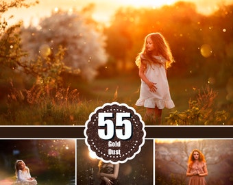 55 Gold floating dust effect, Photoshop overlays, Summer dust & haze overlays, fairy dust, sun, ray, sunlight, light bokeh photo, jpg