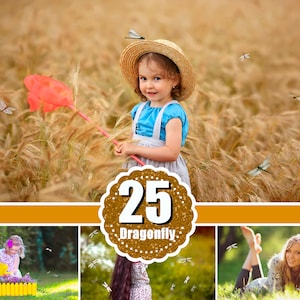 25 Dragonfly butterfly photo overlays, Photoshop overlay, photo effects, magic overlays, summer spring overlays, png file