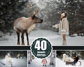 40 Forest wild winter Animals Photo Overlays, Deer, Reindeer, Bear, Owl, Penguin, Photoshop Overlay, Digital Backdrop, png