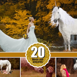20 Majestic unicorn horse overlays, realistic animal, white horse, Photoshop overlays, fantasy, magic, fairy,  png