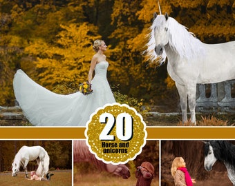 20 majestätische Einhorn-Pferde-Overlays, realistische Tiere, weiße Pferde, Photoshop-Overlays, Fantasy, Magie, Feen, PNG