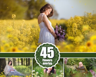 45 Blumen-Foto-Overlays, Photoshop-Overlays, digitaler Hintergrund, Frühlings-/Sommer-Shooting, gemalte Blumen, Astgras, Bilderrahmen (PNG)