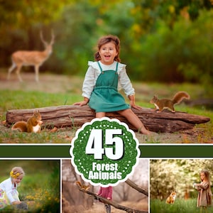 May include: A young girl in a green dress sits on a log with a squirrel. A deer is in the background. The image includes a graphic that says "45 Forest Animals". The scene is set in a forest with green grass and trees.