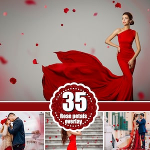 35 Red rose petals, Valentine's day, Romantic, love, magic, wedding overlay, Photoshop overlays, Falling Petals, Digital art, png
