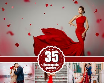 35 Red rose petals, Valentine's day, Romantic, love, magic, wedding overlay, Photoshop overlays, Falling Petals, Digital art, png