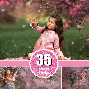 35 Spring Tree Blossom, Pink Cherry Blooming Flower Branch, Photoshop Overlay, Falling Petals, Spring Backgrounds, Floral Overlays, png