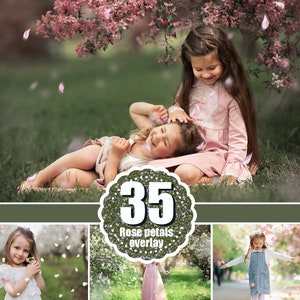 35 vallende roze en witte bloemblaadjes Photoshop-overlays, bruiloft, lente, romantisch, appelbloesem, appelbloesem png