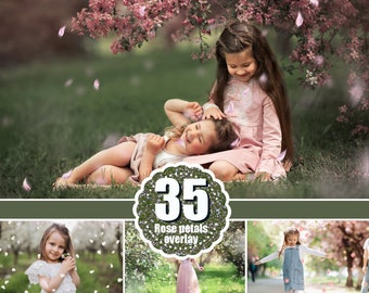 35 falling pink and white petals Photoshop overlays, wedding, spring, romantic, magic, сherry petals, apple blossom, png