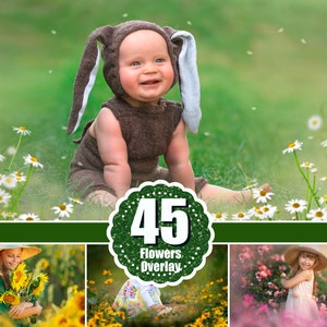 45 Summer spring flower, Photo Photoshop Overlays, tulip, rose, lilac, sunflower, Outdoor photo Sessions, digital overlays, floral png