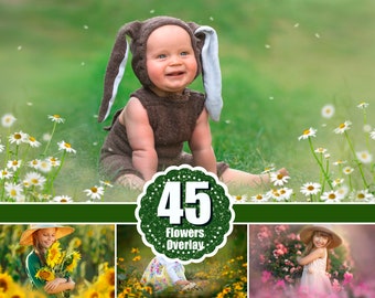 45 Summer spring flower, Photo Photoshop Overlays, tulip, rose, lilac, sunflower, Outdoor photo Sessions, digital overlays, floral png