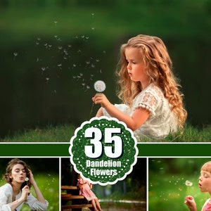 35 Dandelion flowers Photo Overlays, Digital backdrop, spring, summer Photoshop Overlay Nature, png file