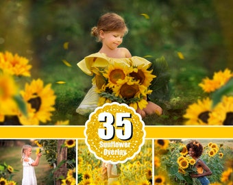 35 Sonnenblumen-Foto-Overlays, Sommer-Frühlings-Blumen-Overlay, Photoshop-Mix, Kunstrahmen, gemaltes Sonnenblumenfeld-Digital-Overlay, PNG