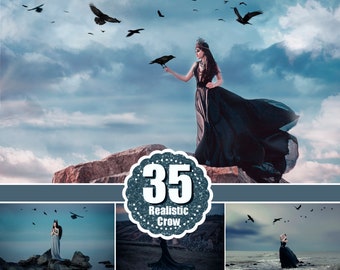35 Realistic Raven Photoshop Overlays, Photoshop overlays bird, crow overlays, Halloween, black birds, crows clip art, png