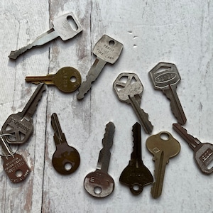 May include: A collection of vintage keys in various shapes and sizes, made of metal. Some keys have text, including "FAMILY" and "STEELCRAFT". The keys are arranged on a light-colored, textured surface.