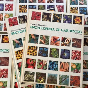 May include: A stack of vintage gardening books titled "The New Illustrated Encyclopedia of Gardening." The covers feature a grid of colorful images of flowers, fruits, and gardening activities. The books have a cream-colored background with green text.