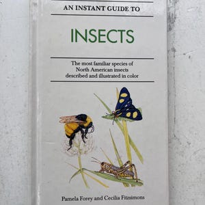 May include: A set of three ceramic mugs with a speckled, matte finish. The mugs are in shades of cream, light gray, and dark gray. Each mug has a simple, minimalist design, perfect for coffee or tea.