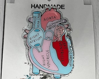 May include: Handmade heart-shaped badge holder with a glitter finish. The heart is a diagram of the human heart with labels for the different chambers and parts. The badge holder is attached to a clear plastic retractable badge reel. The text "The Garnet Magnolia" and "@garnetmagnolia" are printed on the card.