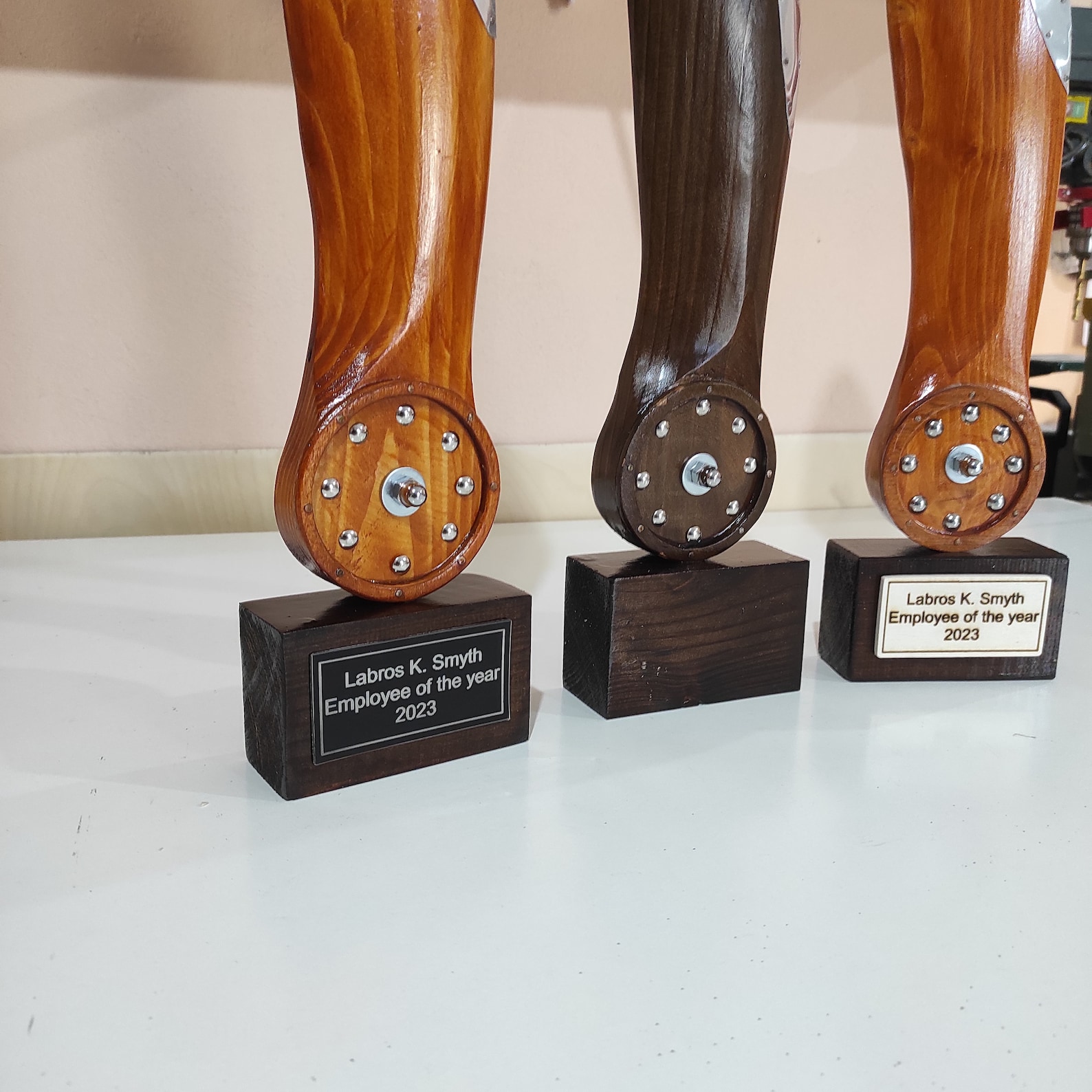 Propeller Trophy Pilot Award - Etsy