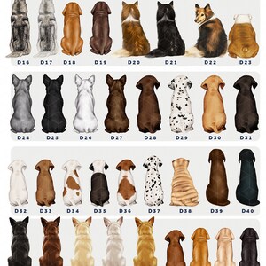 May include: A chart with 78 images of dogs and cats sitting down. Each image is labeled with a number from D1 to D78. The chart is titled "Choose Dog or Cat".