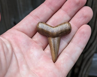 Wooden Shark Tooth Magnet