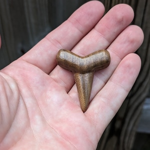 Wooden Shark Tooth Magnet