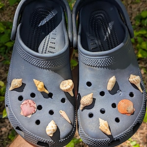 Könnte beinhalten: Ein Paar marineblaue Clogs, verziert mit verschiedenen Muscheln. Die Muscheln sind in Weiß-, Beige- und Orangetönen gehalten und auf der Oberseite der Schuhe befestigt. Die Clogs werden vor einem Hintergrund aus grünem Laub gehalten.