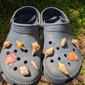 Könnte beinhalten: Ein Paar marineblaue Clogs, verziert mit verschiedenen Muscheln. Die Muscheln sind in den Farbtönen Beige, Orange und Rosa gehalten. Die Clogs liegen auf einer Oberfläche mit grünem Laub im Hintergrund.
