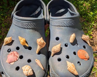 Adornos para zapatos con forma de concha marina