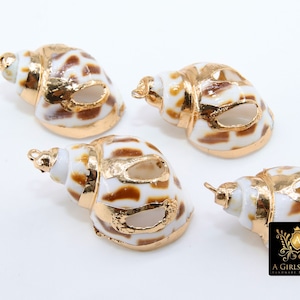 Puede incluir: Cuatro conchas doradas con patrones marrones y blancos. Las conchas tienen un agujero en la parte superior para colgar o sujetar a una pieza de joyería.