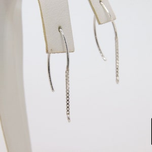 Pu&ograve; includere: Un paio di orecchini pendenti in argento con un delicato design a catena.