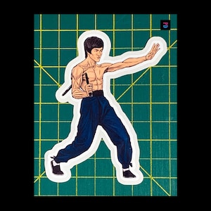 Pegatinas de personajes de Dojo Fighter, versiones 3 y 4, resistentes a la intemperie, mate o brillante, con corte semitransparente, 3 tamaños